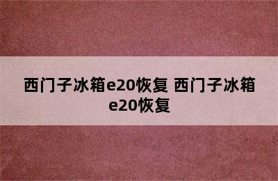 西门子冰箱e20恢复 西门子冰箱e20恢复